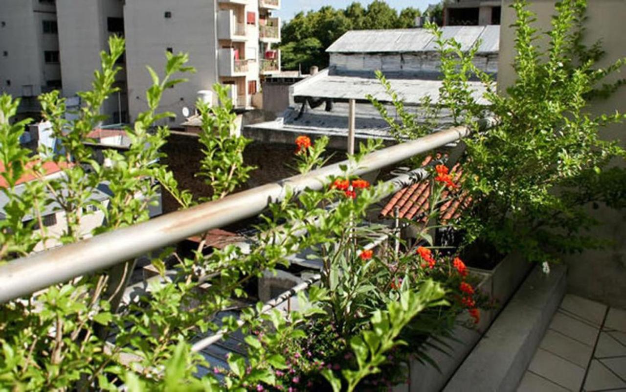 Duplex Dos Ambientes Con Terraza Propia Y Parilla Buenos Aires